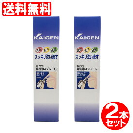 カイゲン鼻洗浄スプレー 2本セット　400ml（200ml×2本） 点鼻 ミントタイプ 【花粉】【ほこり】【雑菌】鼻用洗浄器 ラフェルサ 送料無料