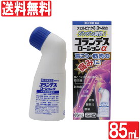 楽天市場 肩こり フェルビナクの通販