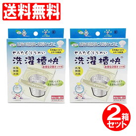 【P最大8倍★5/5限定】洗濯槽快 ネット付 30g×2個入りパック 2箱セット 洗濯槽用洗剤 カビ取り 消臭 除菌 ホタテ ほたて カルシウム 洗濯物 テイクネット 送料無料