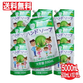 【P最大13倍★お買い物マラソン】ハンドソープ 薬用ハンドソープ詰め替え用 10個セット 大容量 5000mL（500mL×10個）洗浄 殺菌 消毒 保湿 アロエエキス 日本製 送料無料 携帯