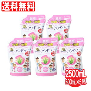 nh\[v A pnh\[v lߑւp A^Cv 5Zbg e 2500mLi500mL×5j E  ێ AGGLX {  Anh\[v Ɩp