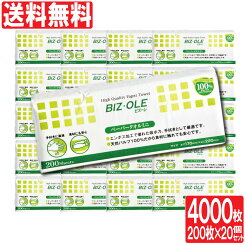 楽天市場 2 25限定ポイント15倍 要エントリー ビズーレ ペーパータオル ミニ 0枚 個セット 計4000枚 エンボス加工 キッチンクロス キッチンタオル キッチンペーパー 送料無料 わごんせる金橋