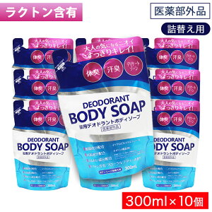 yPő12{11/1zp fIhg {fB\[v lւp 300mL ×10 ̏L L fP[g][ { 򕔊Oi