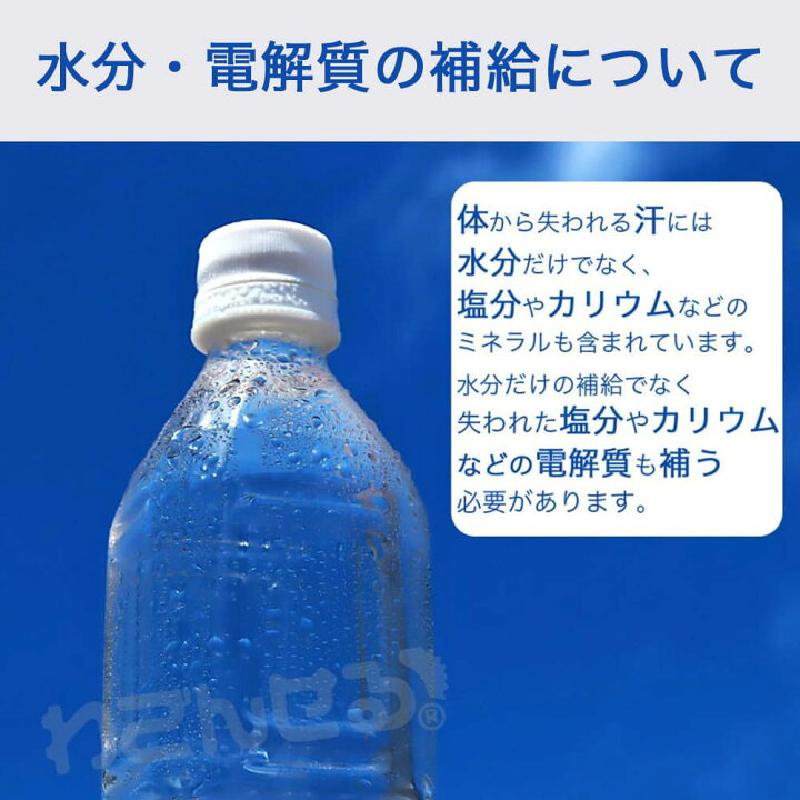 楽天市場】【P最大9倍☆お買い物マラソン】エブリサポート 塩分補給 