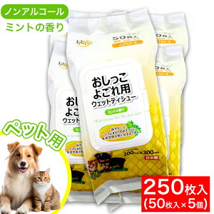 yPő14{X[p[SALEz悲pEFbgeBV[ 50 5 ہERہEL ybgp mAR[ t^t ~g̍