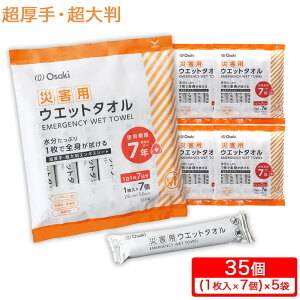 yPő13{10/30zЊQp EGbg^I  唻 35i1×7×5܁j { EFbg^I EGbgeBV G{XV[g