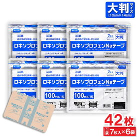 【第2類医薬品】 ロキソプロフェンNaテープ フィスターLXテープ 大判 7枚入 ×6袋 経皮吸収型鎮痛 抗炎症剤