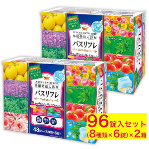  pA 8̍ A 48 2Zbg v96 [[[GLXz 򕔊Oi   Mtg v[g