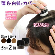 【P最大13倍★お買い物マラソン期間限定】白髪隠し 白髪かくし パウダー シャンデルぽんぽんヘアパウダー…