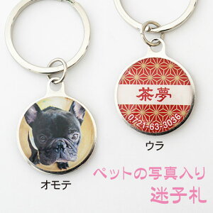 qDyALAybg̎ʐ^qDzyhbO^O  O a  I[i[YEObY I[_[ChzOMG40