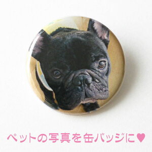 ALAybg̎ʐ^ʃobWyI[i[YEObY I[_[ChzOMG40