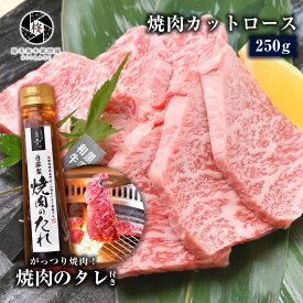 牛肉 肉 焼肉 黒毛和牛 霜降り ロース 250g (250g×1) 焼肉タレ セット お試し 送料無料 お取り寄せグルメ 贈り物 通販 冷凍食品