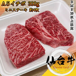 䋍 A5N C`{ ~jXe[L 300g BMS10ȏy ƒp јa   Y Ԑg Ԍ 䈥A 䌩 v[g j j oYj Vzj  Ε c 