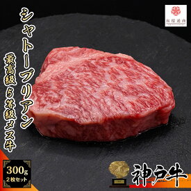シャトーブリアン|通販で購入できるおすすめを教えてください