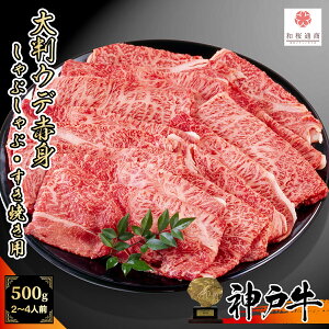 yA5Xz _ˋ Ԑg唻XCX 500g(250g×2pbN)  Ef Ԑg Ԃ Ăy ƒp O Mtg јa  Y  A5 蕨 j a yY 