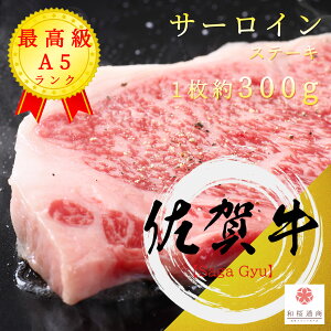 ꋍ A5 ~ T[C Xe[L 300gy ƒp јa  Y ~ Ԍ 䈥A 䌩 v[g j oYj ̓  Ε c   z