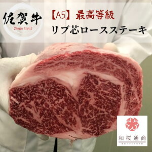 ꋍ X A5 uACXe[L 300g yјa   Y Ԍ 䈥A 䌩 v[g j j oYj Vzj  Ε c  O Mtg ƒ