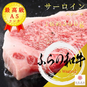 ӂ̘a A5N T[C Xe[L 1300gy ƒp јa   Y Ԍ 䈥A 䌩 v[g j j oYj Vzj  Ε c  c