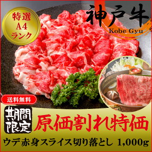 _ˋ A4 (Ef) Ԑg XCX ؂藎Ƃ 1,000g Ԃ Ăy O Mtg  јa Y Ԑg 蕨 hV̓ j a yY Ε vZg h