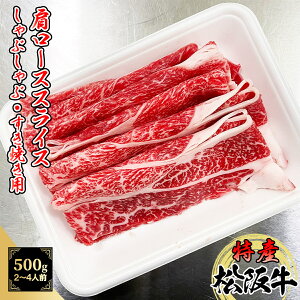 Y ㋍ [X 500g(250g×2pbN) ԂԁEĂp A5 јa Xy ㋍ Y Y XCX Ε Mtg v[g [X Uug ~ z