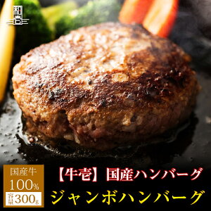 yY100I̖{C W{no[O 300gzY no[O  300g 1 s 葢  Mtg BBQ o[xL[ 蕨 ̓ ̓  Ε hV̓ Ε 