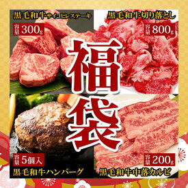 【10％OFF!!】2024 福袋【6】 送料無料 【黒毛和牛 霜サイコロヘレステーキ 300g 黒毛和牛 ハンバーグ 150g ×5個 黒毛和牛 切り落とし 800g 黒毛和牛 中落カルビ 200g お試し 焼肉 福袋】 2023 福袋 福袋 セット 詰め合わせ 食品 お得 肉 焼肉 卒業祝い 入学祝い プレゼント