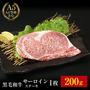 yјa ~T[CXe[L 200gz a ~ Xe[L T[CXe[L  Mtg Zbg BBQ o[xL[ 蕨 A5 A4 a  ɏ ~ 200g ̓ ̓  