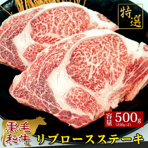 yјa I A4 u[XXe[L 500gz 500g Mtg Ε Ε j j  v[g BBQ o[xL[ Ԑg   蕨 Y јa    250g×2 hV̓ 