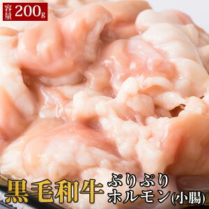 yјa ՂՂzij 200gz 200g Mtg Ε Ε j j  v[g z  BBQ o[xL[ Ԑg   蕨 Y јa    