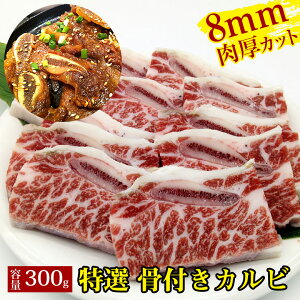 yI t Jr 300gz 300g Mtg Ε Ε j j  v[g  Jr ē BBQ o[xL[ t   蕨 Y јa    hV̓ 