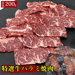 yIn~ē 200gzn~ ē YΏĂ 200g Mtg  Ε Ε j j  v[g Ԑg   蕨    BBQ o[xL[ hV̓ Ε 
