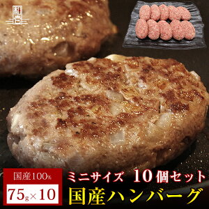 yY100I̖{C ~jno[O 75g ×10zY no[O  75g ~jno[O 10 s 葢  Mtg BBQ o[xL[ 蕨 ̓ ̓  Ε 