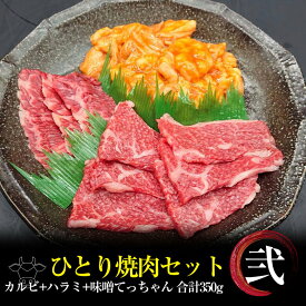 お一人様 焼肉セット【 2 】黒毛和牛 カルビ 焼肉 100g 特選牛 ハラミ 50g 秘伝の味噌タレてっちゃん 200g 合計 350g 焼肉 バーベキュー BBQ BBQセット 焼肉セット ひとり焼肉 ソロキャンプ キャンプ肉 キャンプ飯