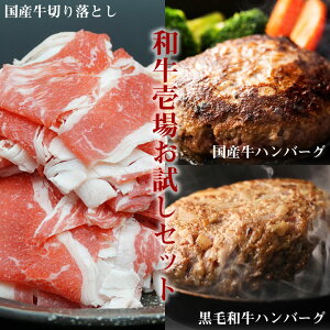 Zbgy 1 zY ؂藎Ƃ 500g јa no[O 150g 2 Y no[O 150g 2 v 1100g ē o[xL[  Ԃ Ă BBQ BBQZbg Zbg lC 