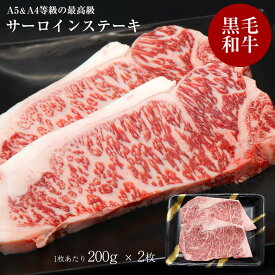 楽天市場 ステーキ肉 父の日の通販