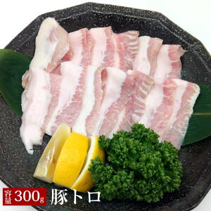 y؃g ē 300gz ؓ ؃g gg ē BBQ ƒp XCX 300g Ⓚ ē `[n ē ؘ u ē  [X XCX 