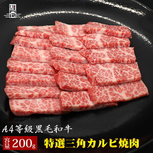 yјa I A4 Op Jr ē 200gzMtg Ε Ε j j  v[g BBQ o[xL[ Ԑg   蕨 Y јa    200g hV̓ Ε 
