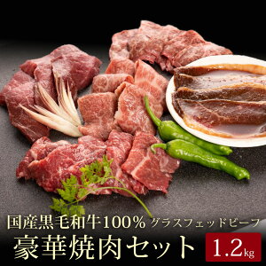 yX[p[SALE 10%OFFzyΕE~Mtgz\P؏ēZbgv1.2kg kCYјaOXtFbhr[tp[eB[ Mtg 蕨 v[g a LO  a 