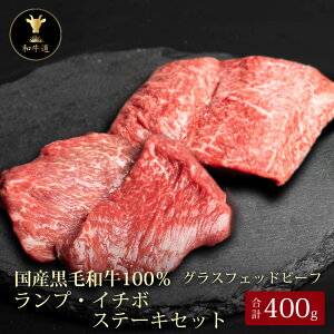 yHMtgz\PvEC`{Xe[LZbg v400g kCYјaOXtFbhr[tp[eB[ Mtg 蕨 v[g a LO  a  䒆 Ԑg