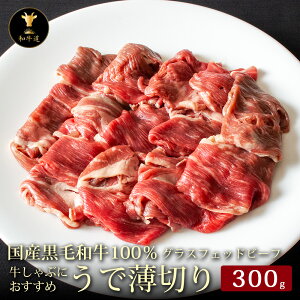 yΕE~Mtgz\P؂XCX300g kCYјaOXtFbhr[tp[eB[ Mtg 蕨 v[g a LO  a Ε l Ԑg Ă 