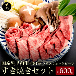 yHMtgEhV̓z\PĂZbgv600g kCYјaOXtFbhr[tp[eB[ Mtg 蕨 v[g a LO  a  䒆 Ԑg 