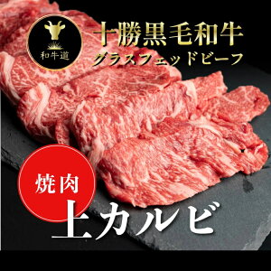 yHMtgz\PJr200g kCYјaOXtFbhr[tp[eB[ Mtg 蕨 v[g a LO  a  䒆 Ԑg o[xL[ lΉ