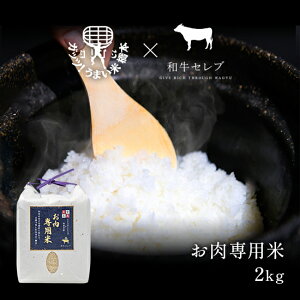 ySi40OFFN[|zzzɂY 2kg p ēp Xe[Lp Ăp no[Op uh Y  ؓ { јa ̓ j a Mtg v[g 
