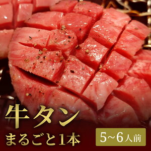 y20OFFN[|ΏہI}\z^ ۂ1{ 700g D݃AW ubN ^ubN  ̓ j a Mtg v[g  j O 