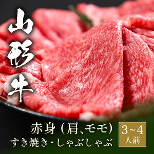R` Ă Ԃ ԐgXCX    500g Ă ₫ Y  a јa ̓ j a Mtg v[g  j O@蕨 Ⓚ 