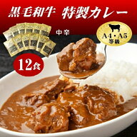【送料無料】黒毛和牛特製カレー12食セット 和牛 特製 ビーフカレー6食(中辛)特製牛すじカレー6食(中辛) …