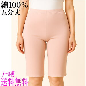 [֑ 100\tgK[[5//Ci[/Xgb`/傫TCY/n/fB[X/X/{g/Vh/ҏ[