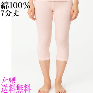 [֑ 100\tgK[[7//Ci[/Xgb`/傫TCY/n/fB[X/X/{g/Vh/ҏ[