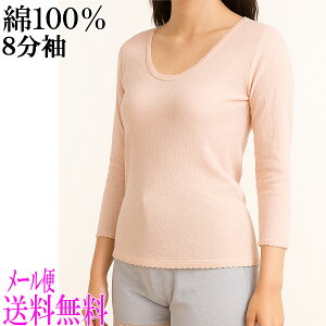 [֑ 100\tgK[[8Ci[//Ci[/Xgb`/傫TCY/n/fB[X/Vh/~ZX