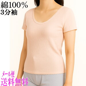 [֑ 100\tgK[[3Ci[//Ci[/Xgb`/傫TCY/n/fB[X/Vh/~ZX//t`